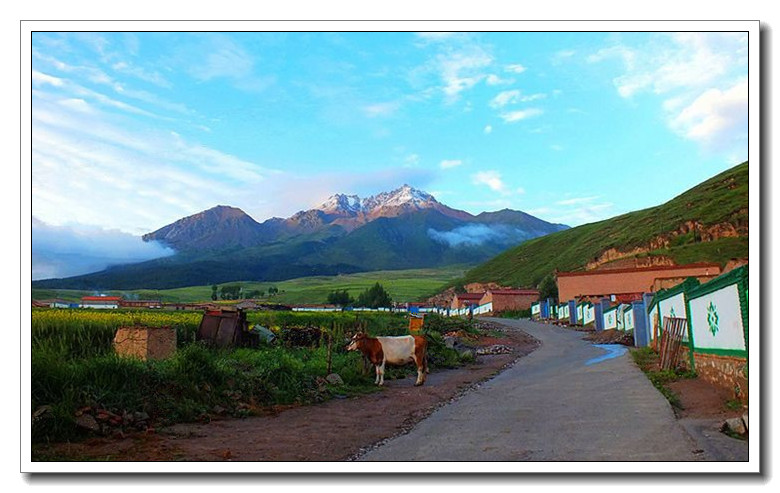 青海祁连牛心山风景1