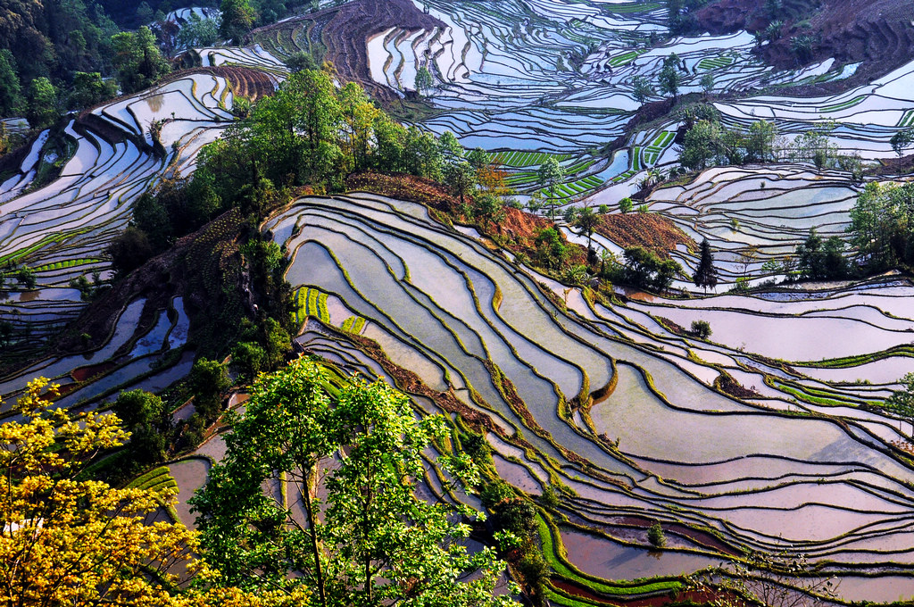 梯田