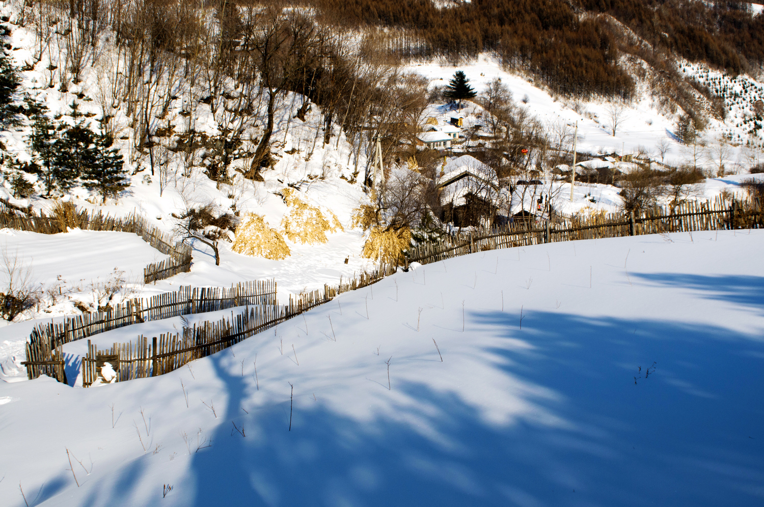 松岭雪村