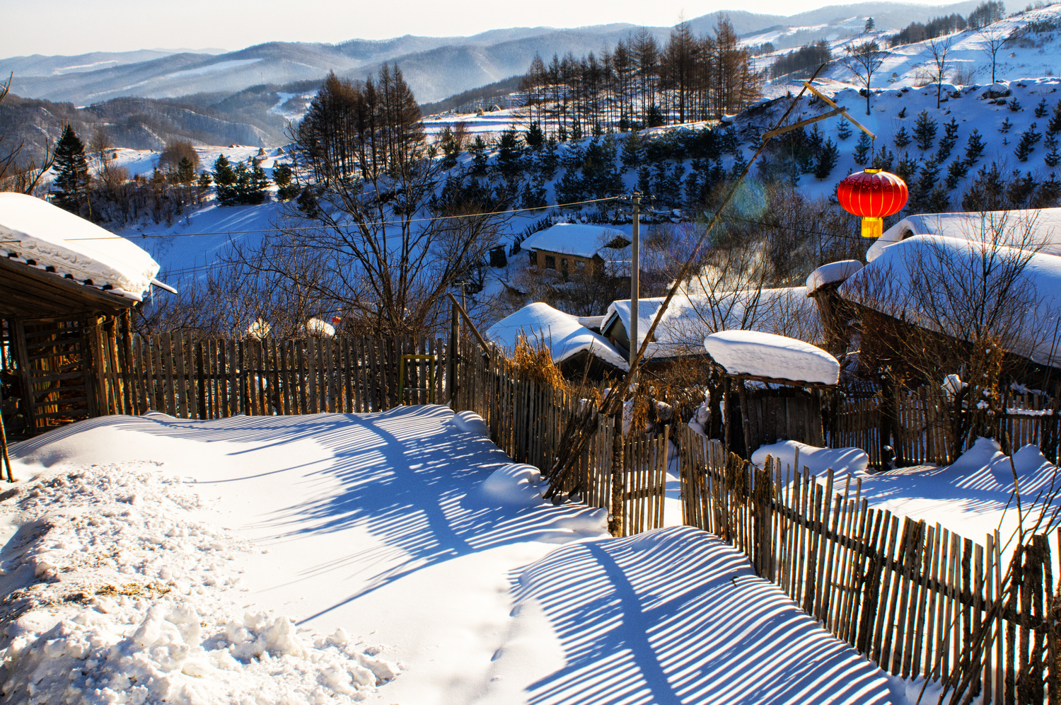 雪村农户