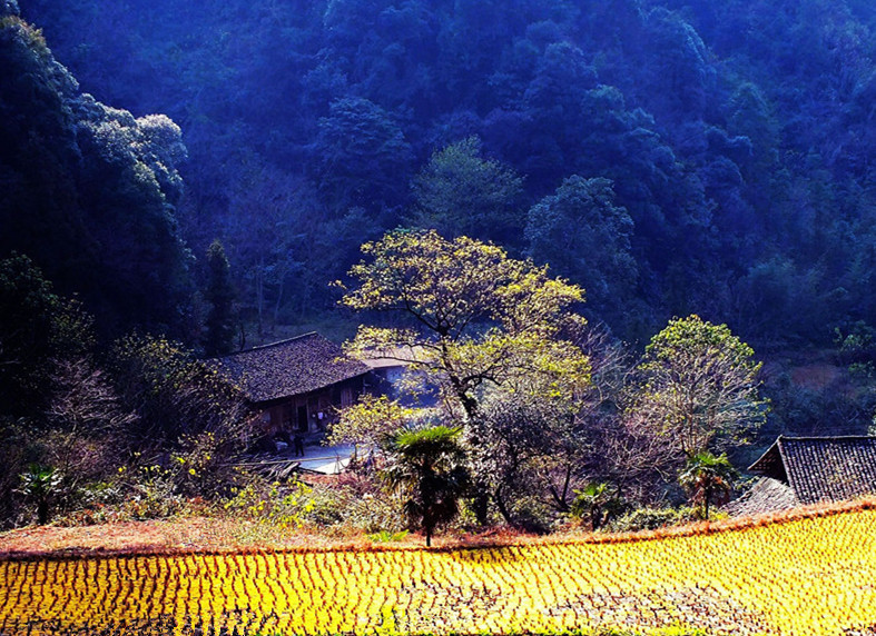 山里人家