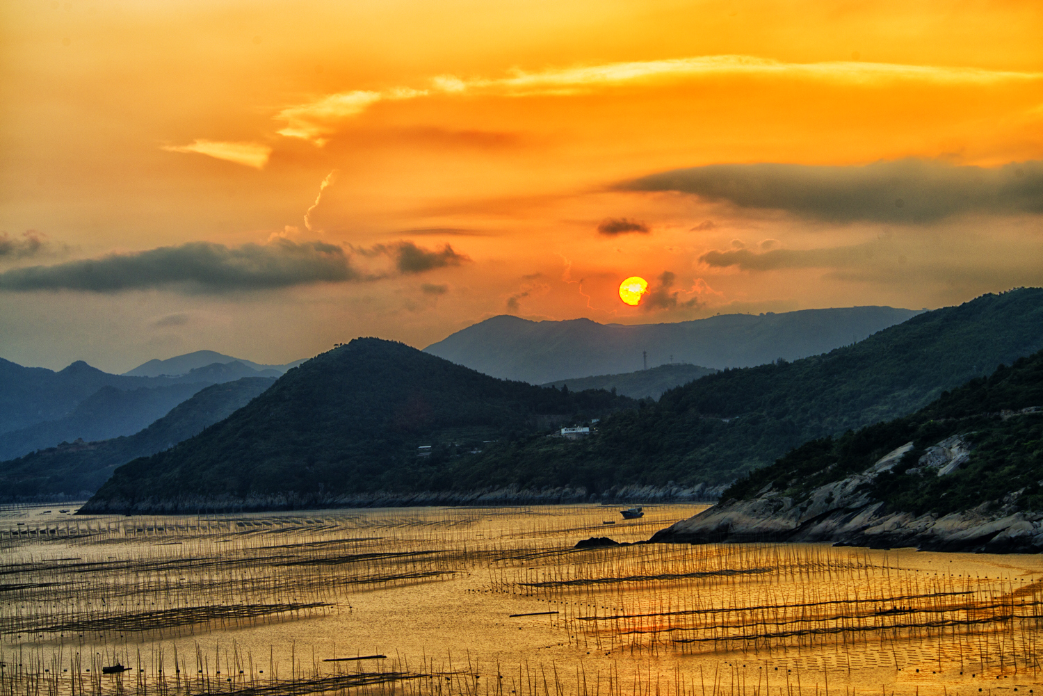 夕阳