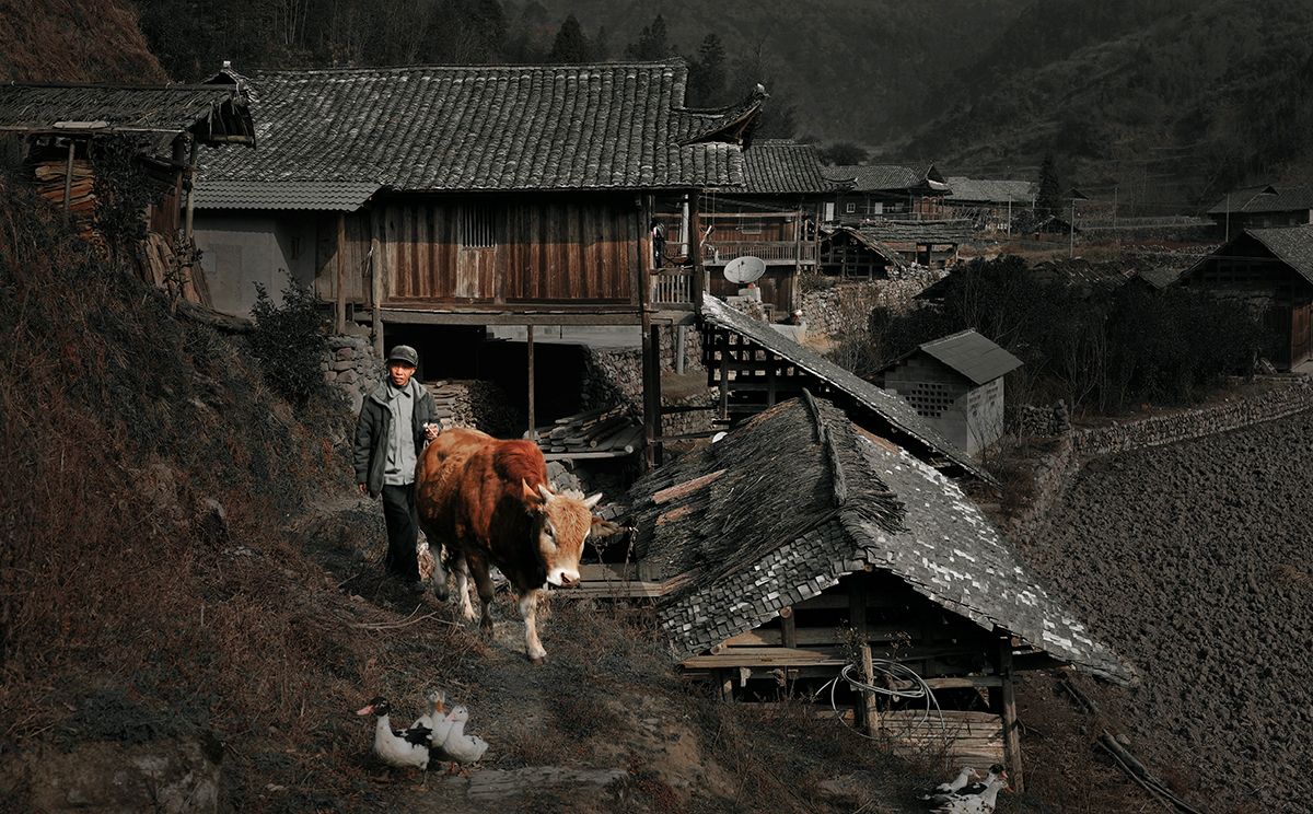 土家山村