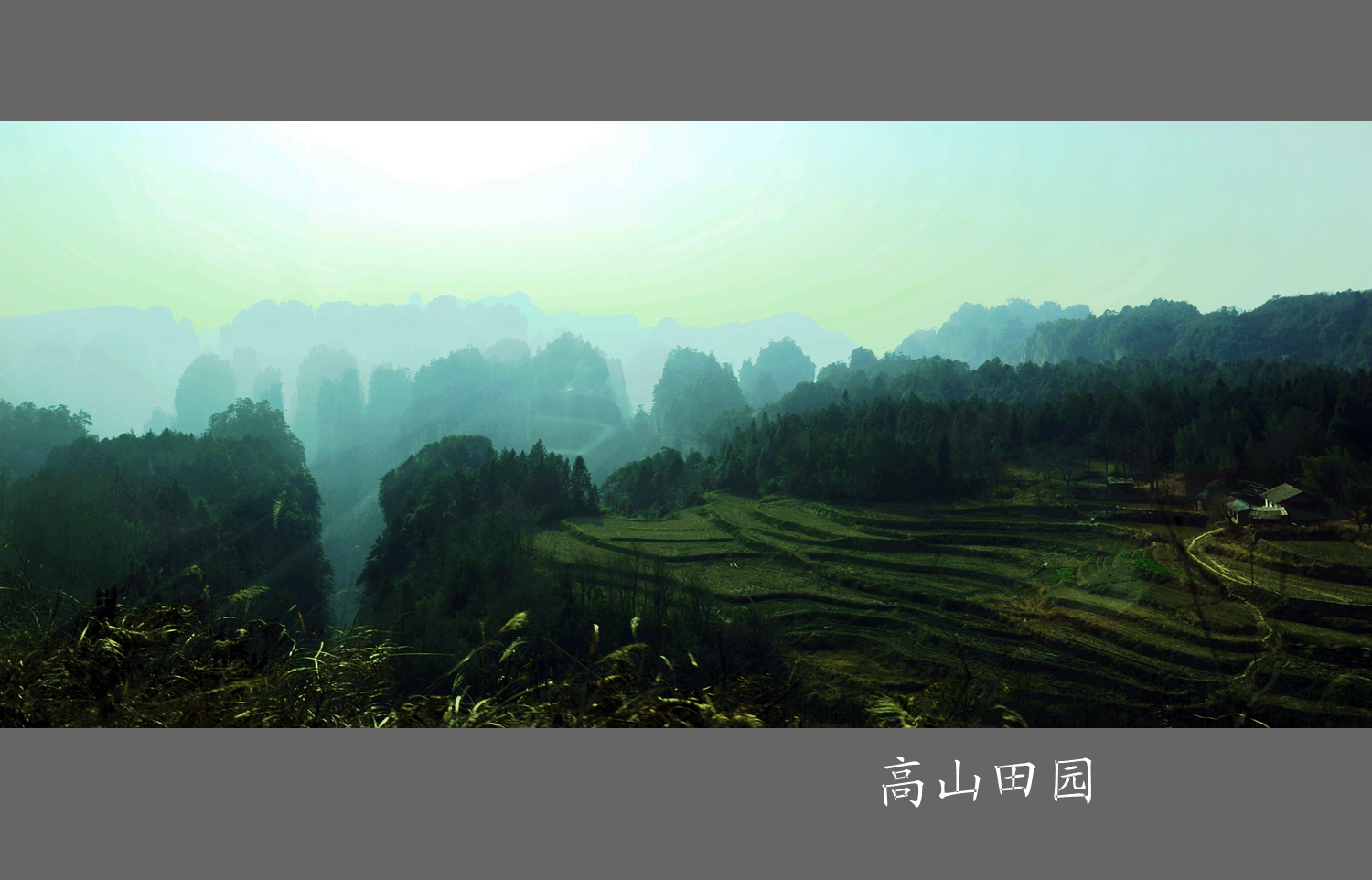 高山田园