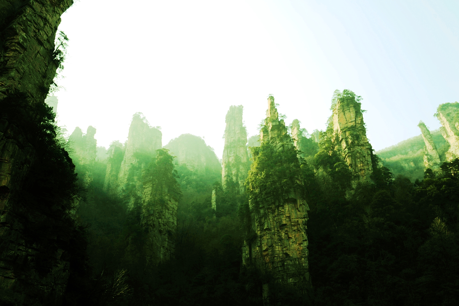冬日天子山3