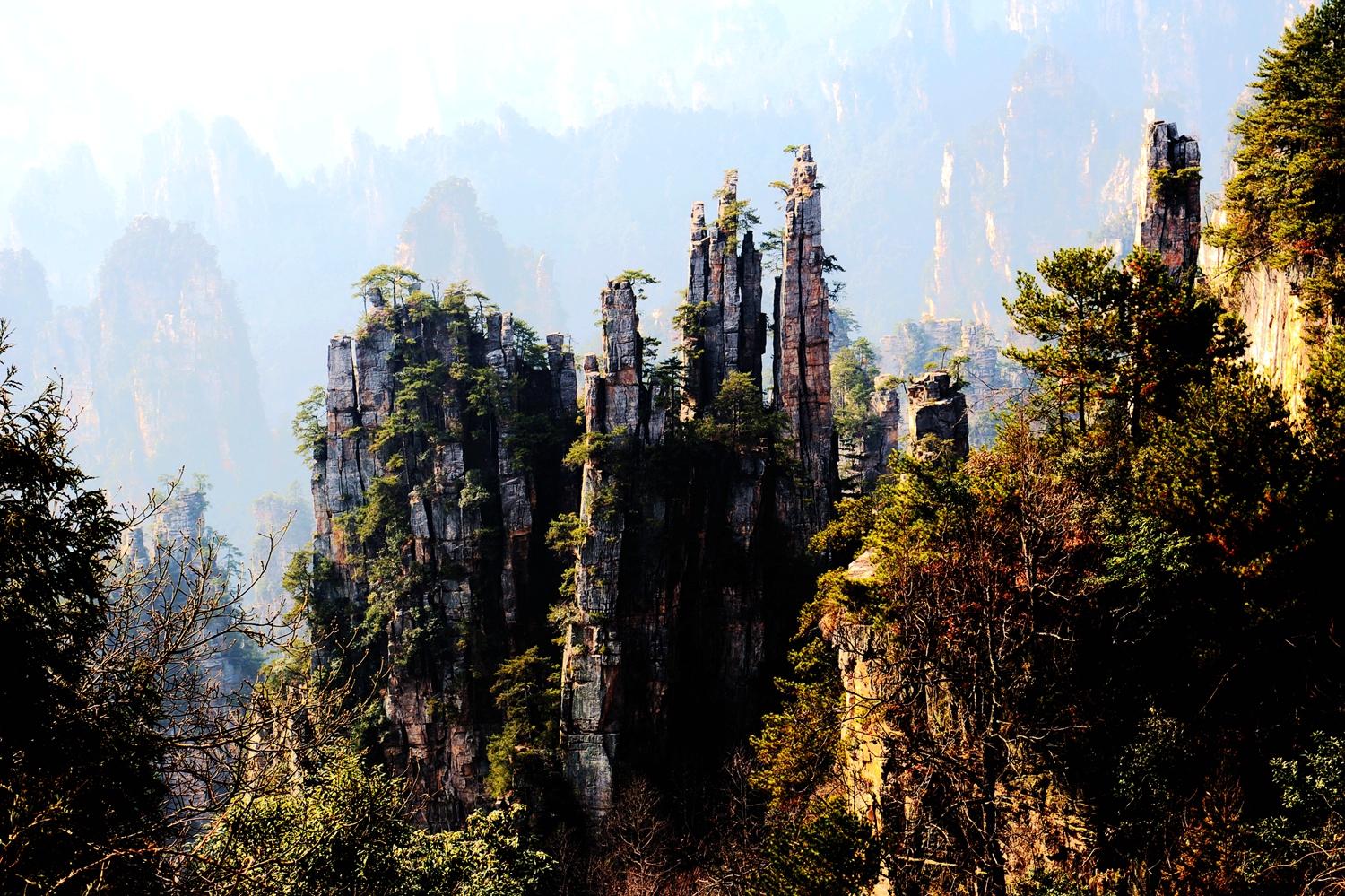 冬日天子山4
