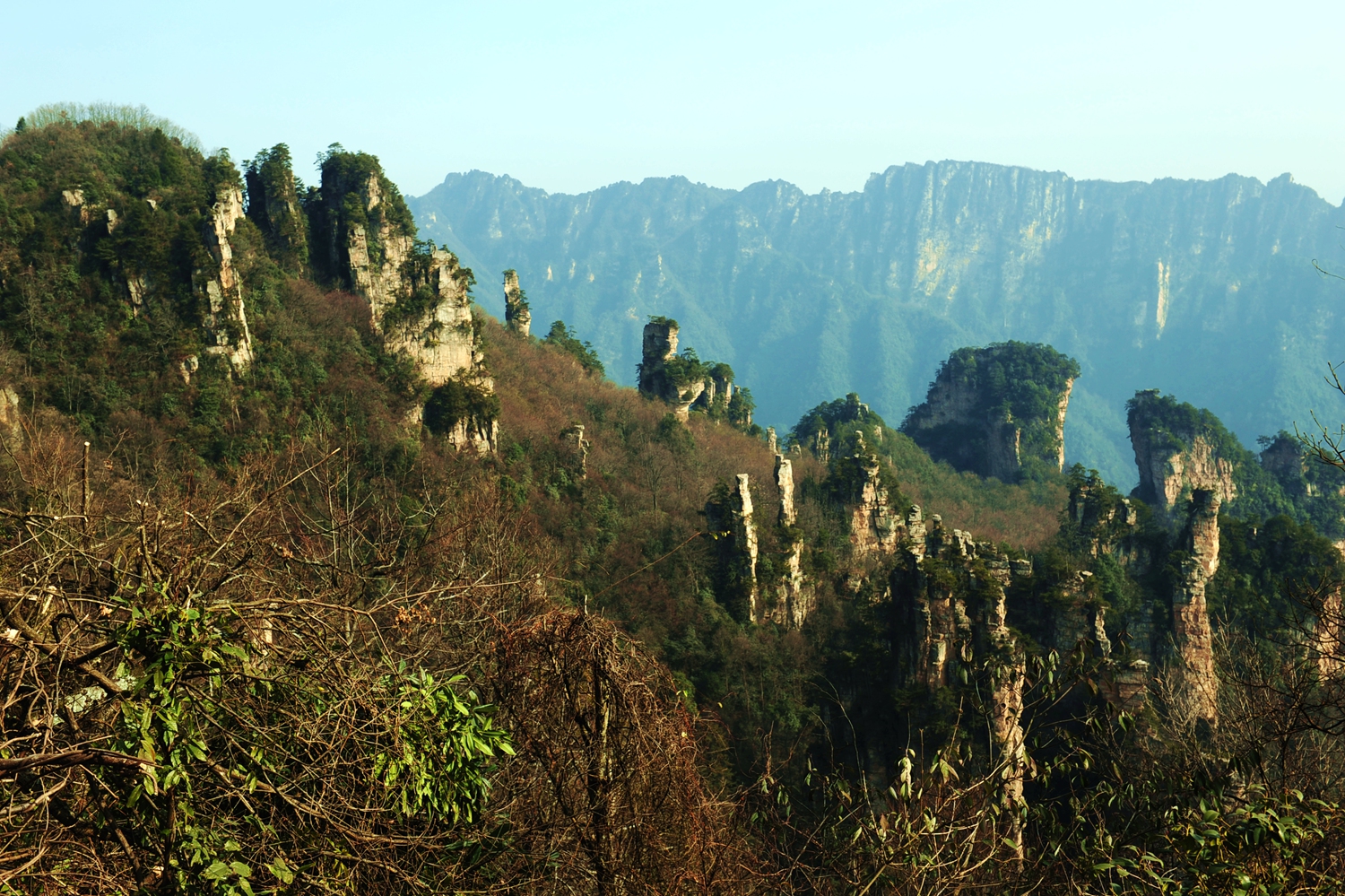 冬日天子山6