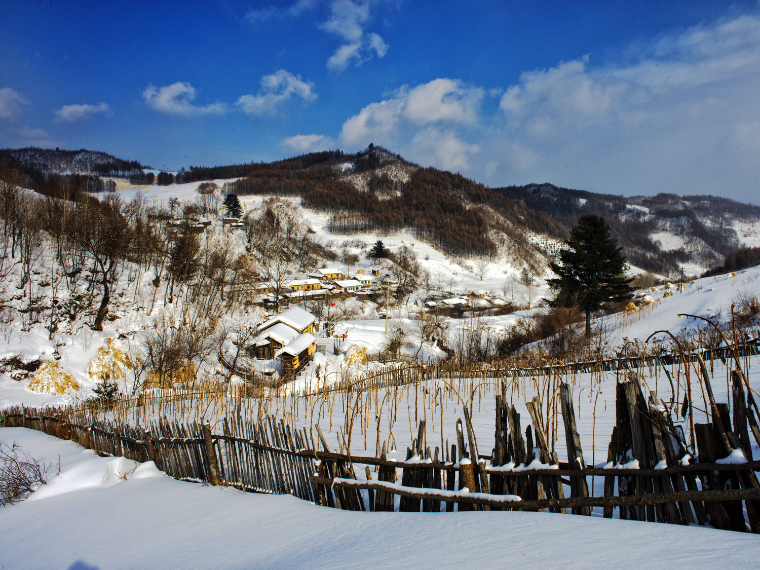 雪村松岭