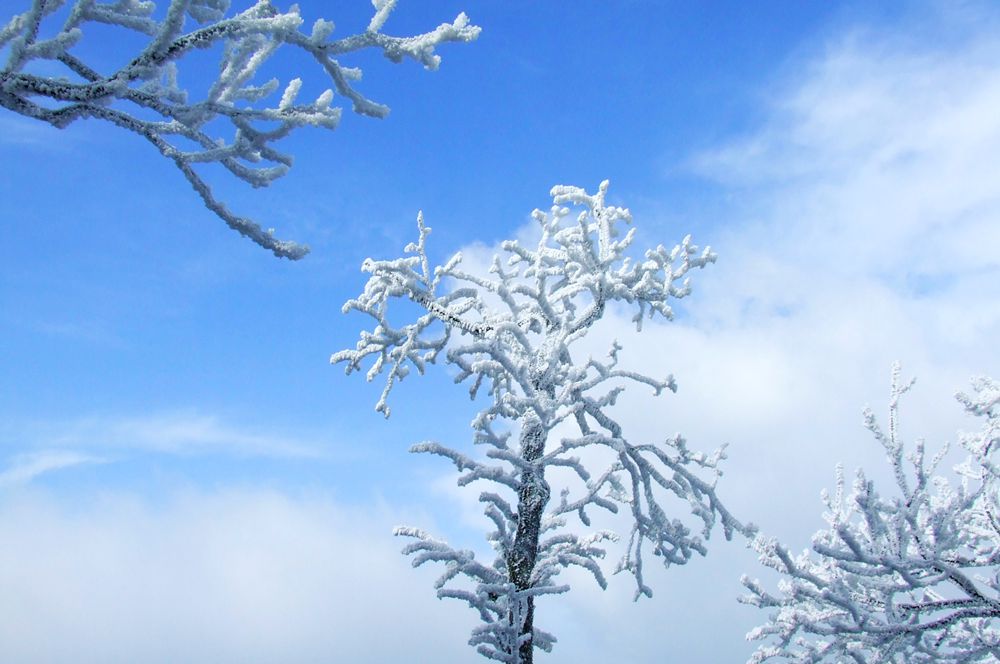 天门山雪3