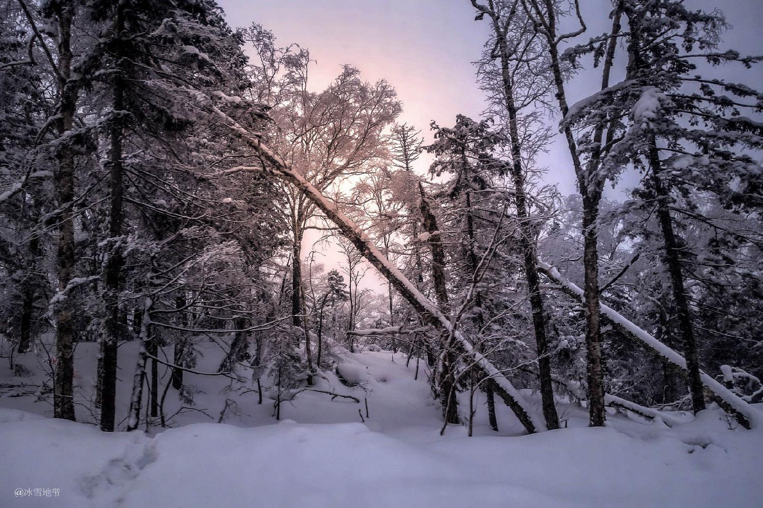 亚雪公路