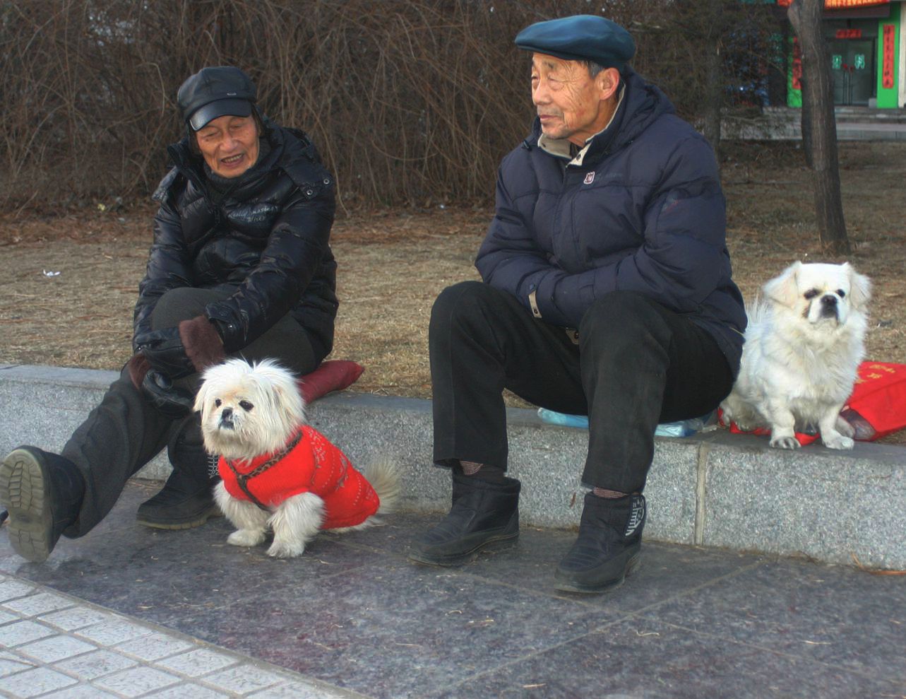 “陪伴”