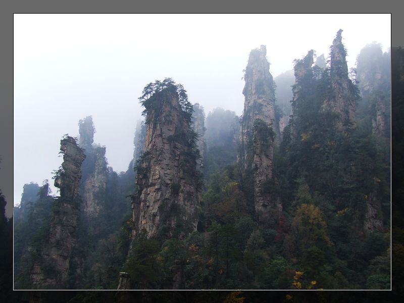 冬日天子山