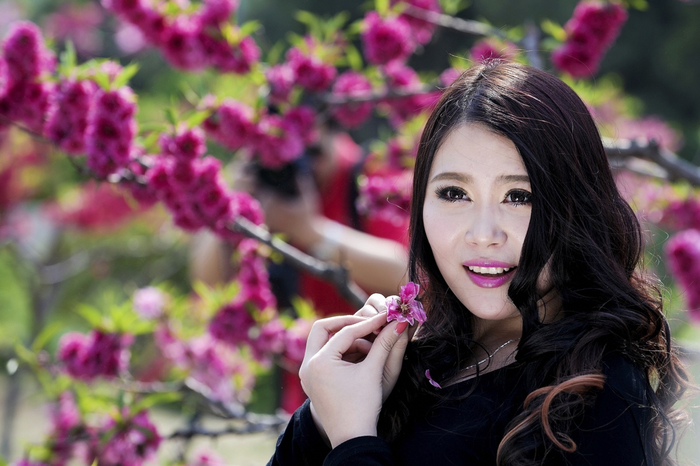 花儿为什么这样红···