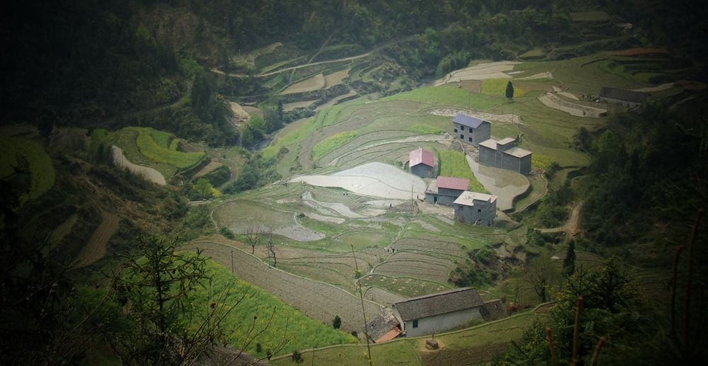 俯瞰汪家山梯田