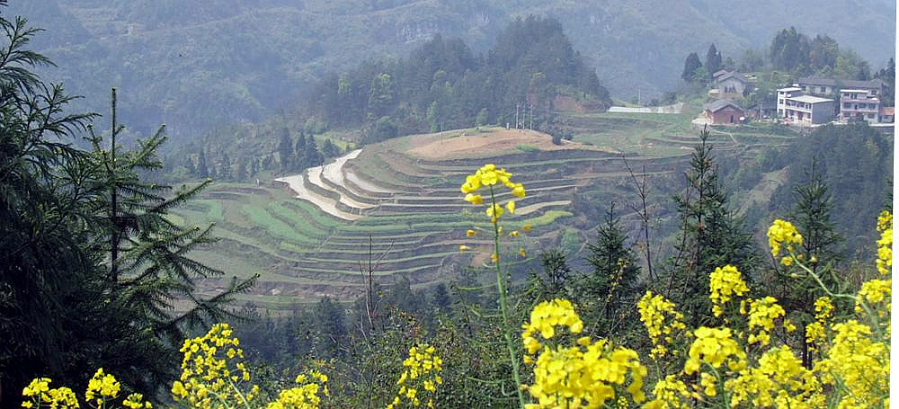 汪家山梯田