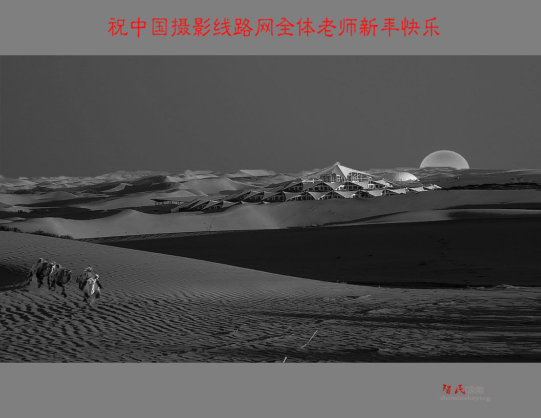 拜年啦