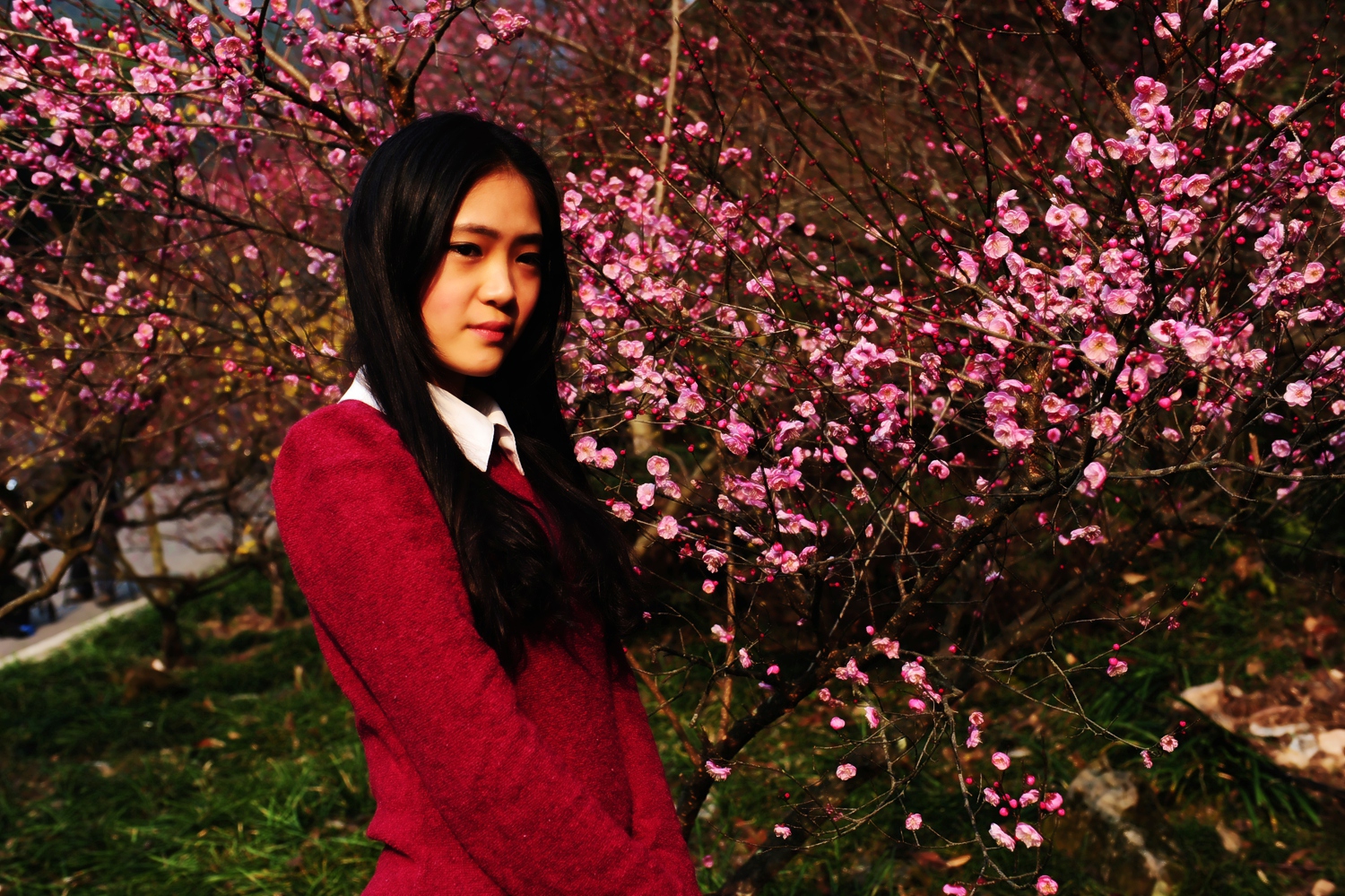 梅花仙子