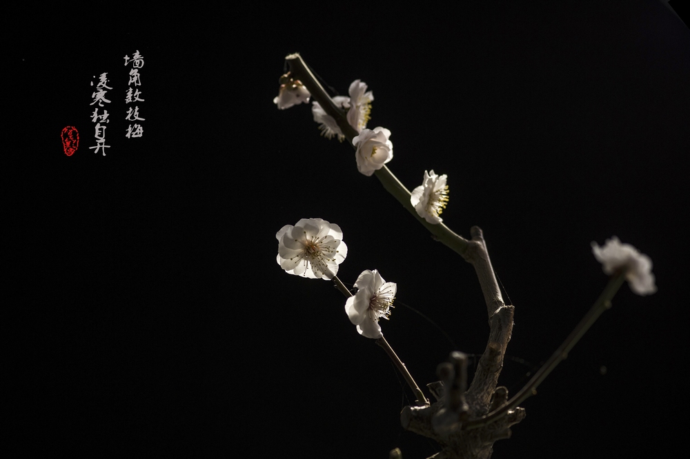 无题