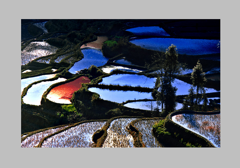 元阳梯田