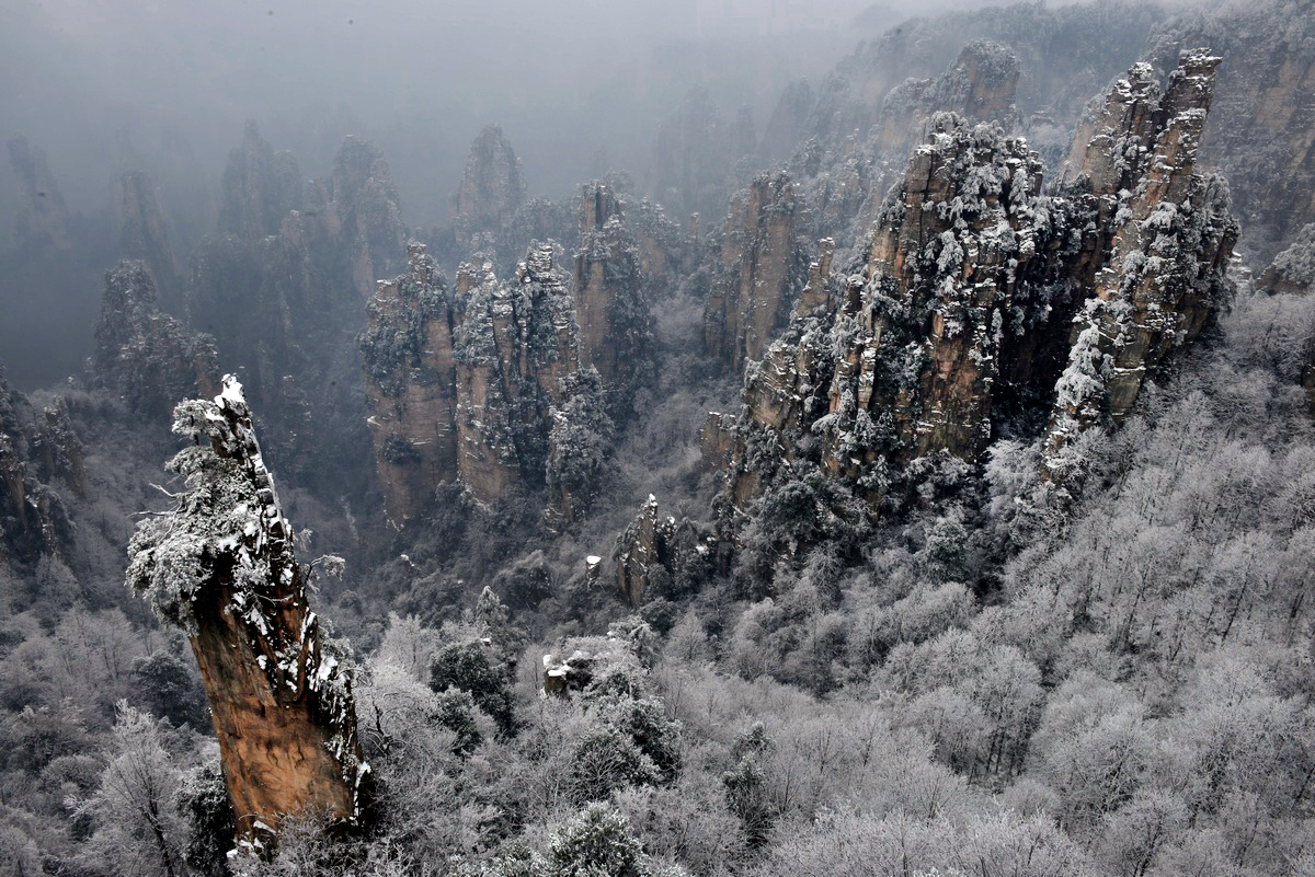 天子山·雪韵