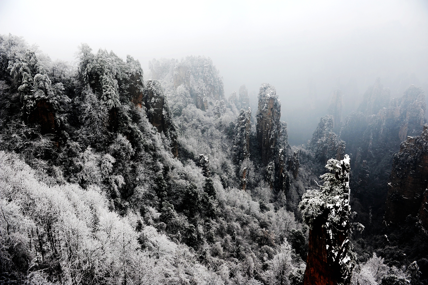天子山春雪2