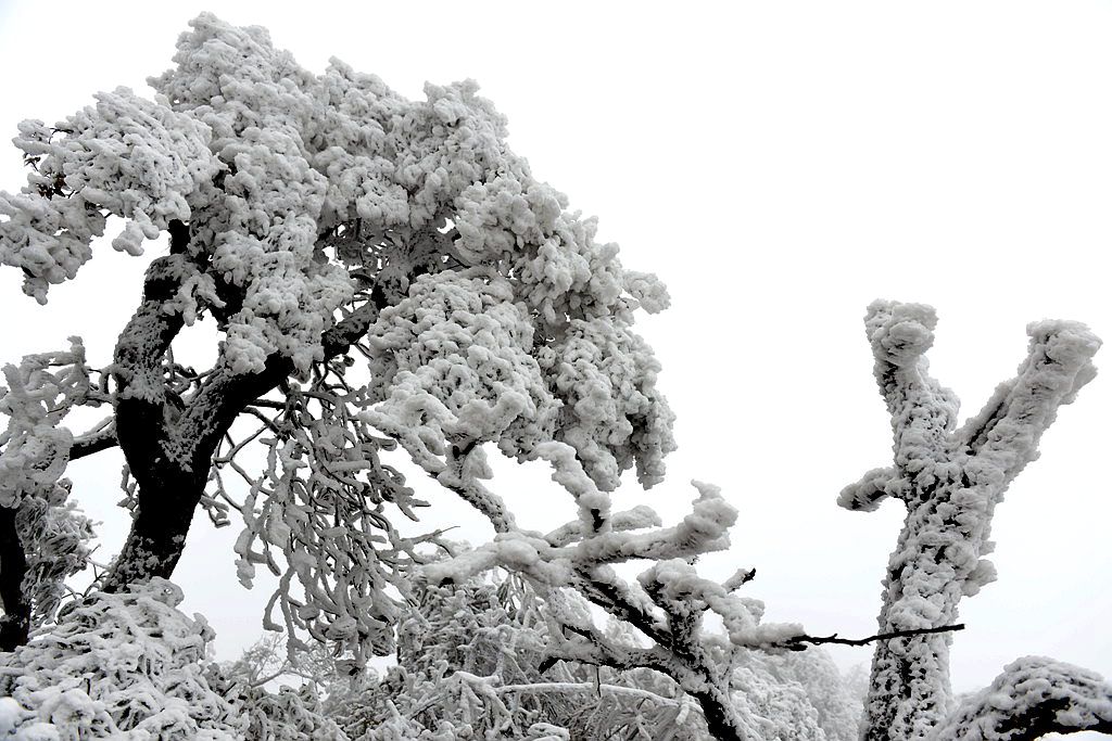天门雪景15