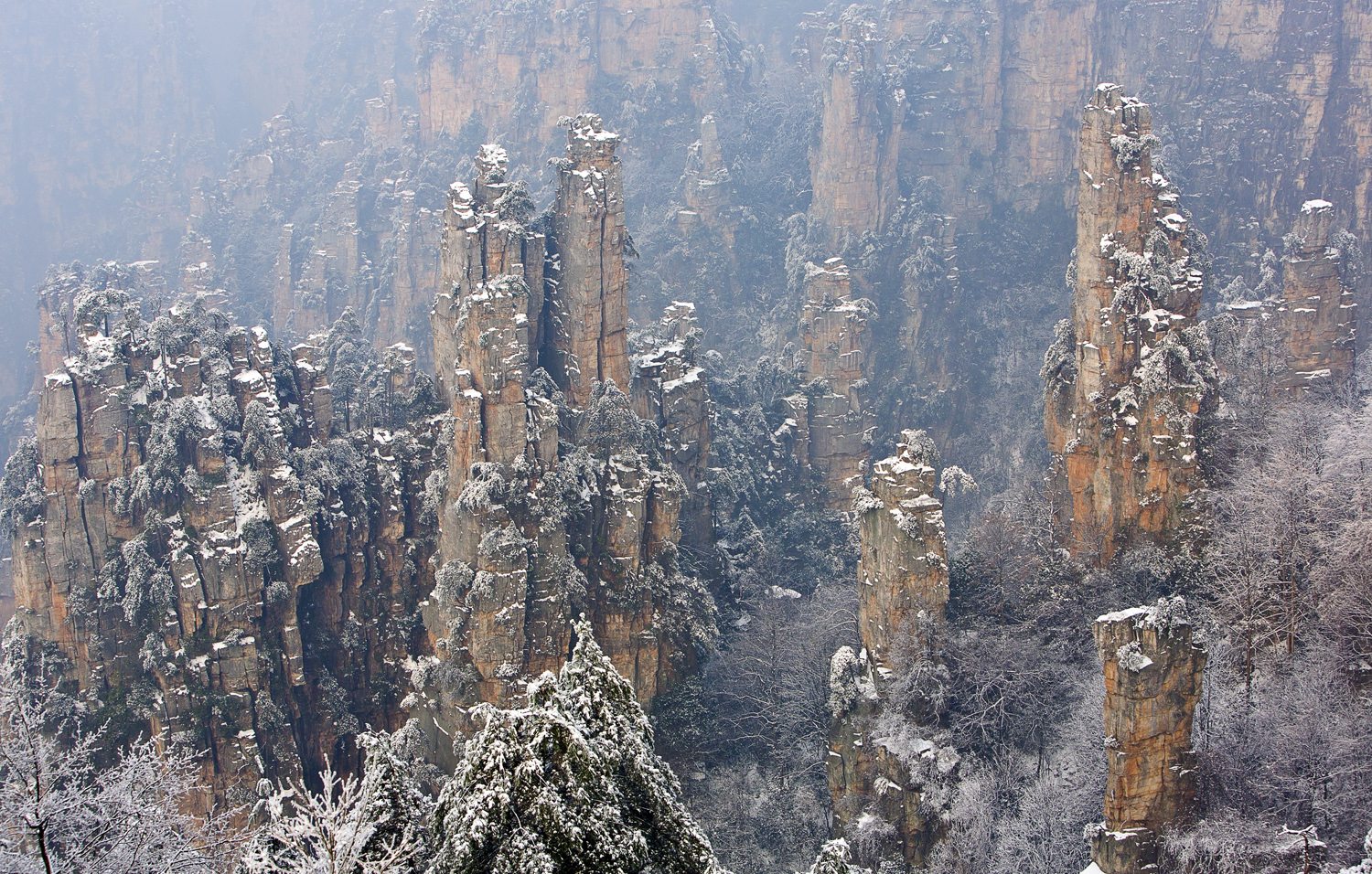 天子山雪