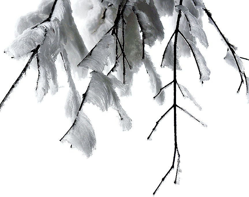 天门雪景14