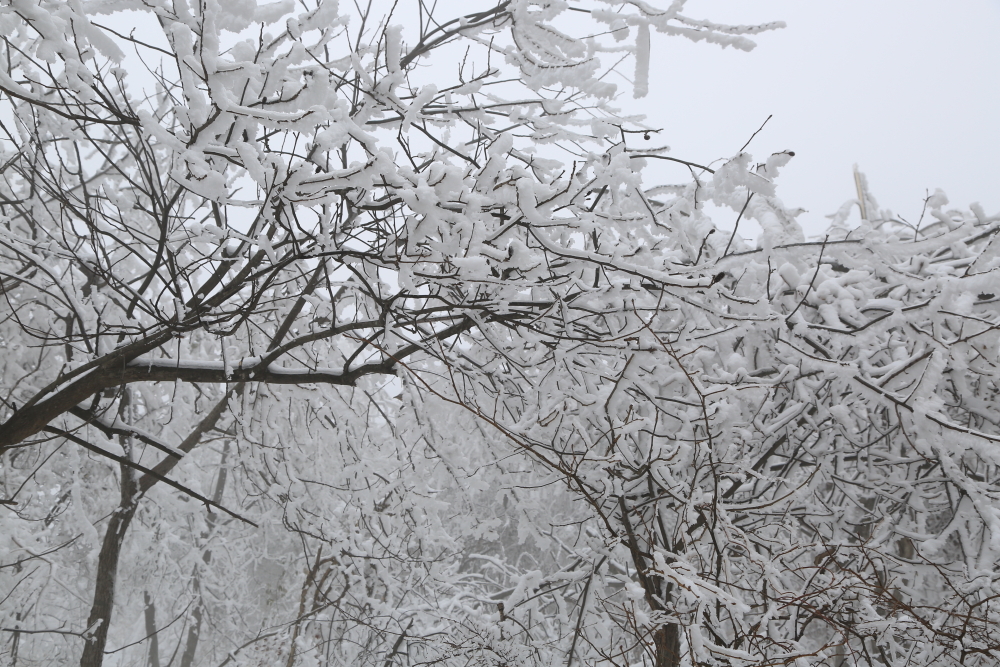 梦里雪乡