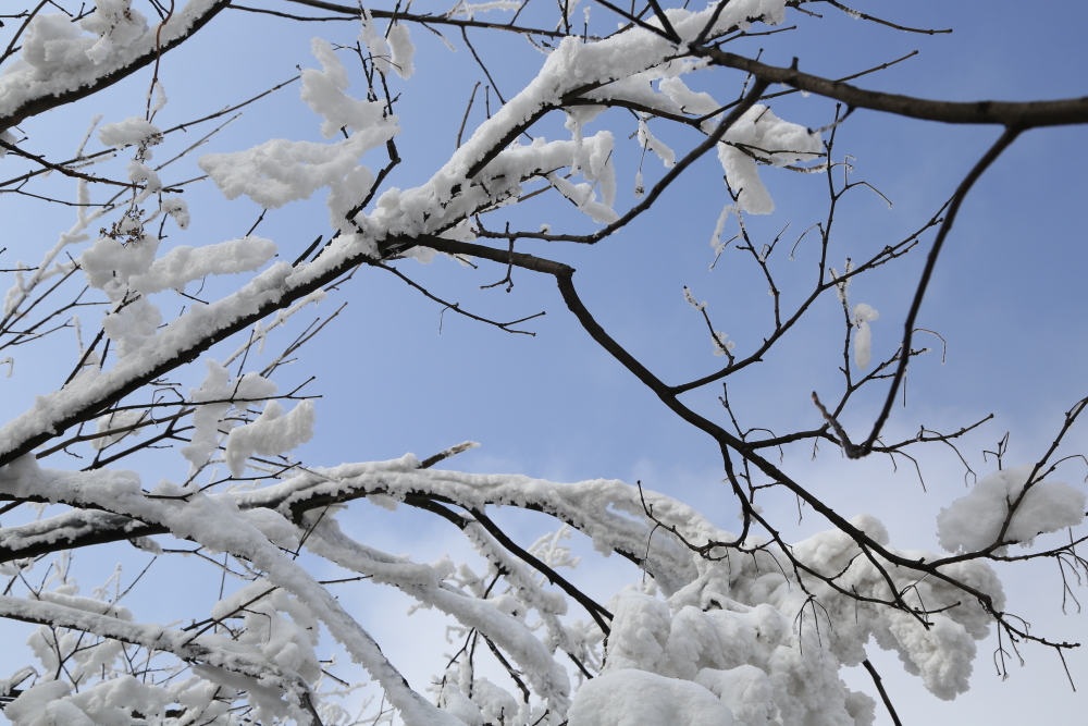 梦里雪乡