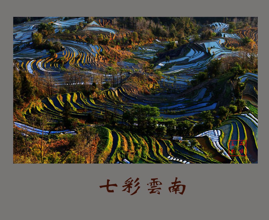 七彩云南