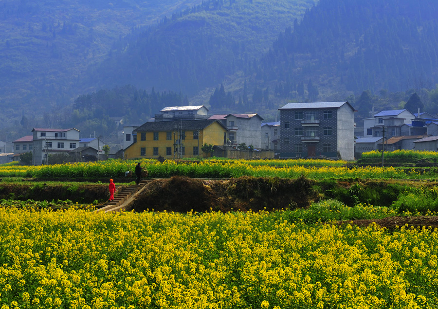 乡村春景