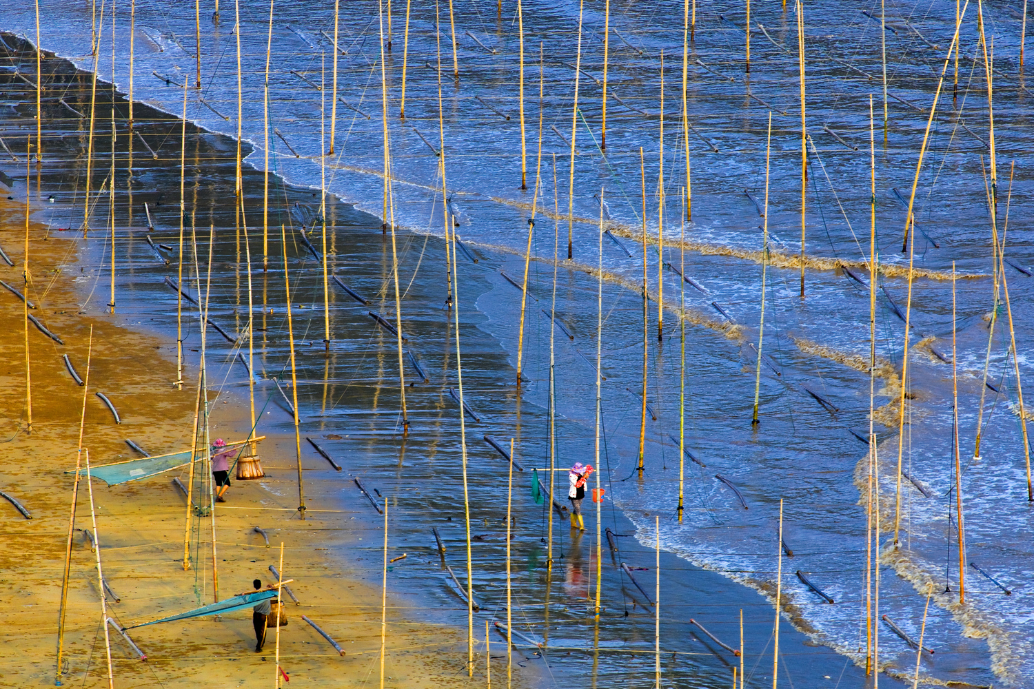 赶海
