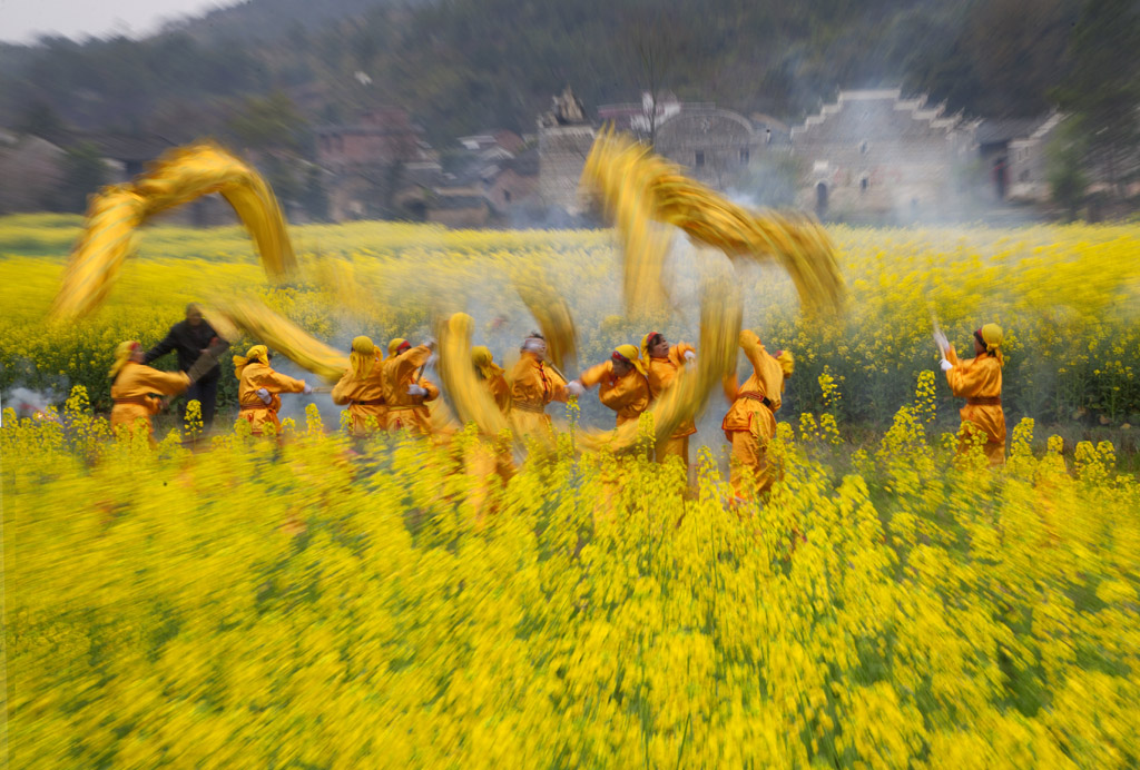 花海闹龙灯