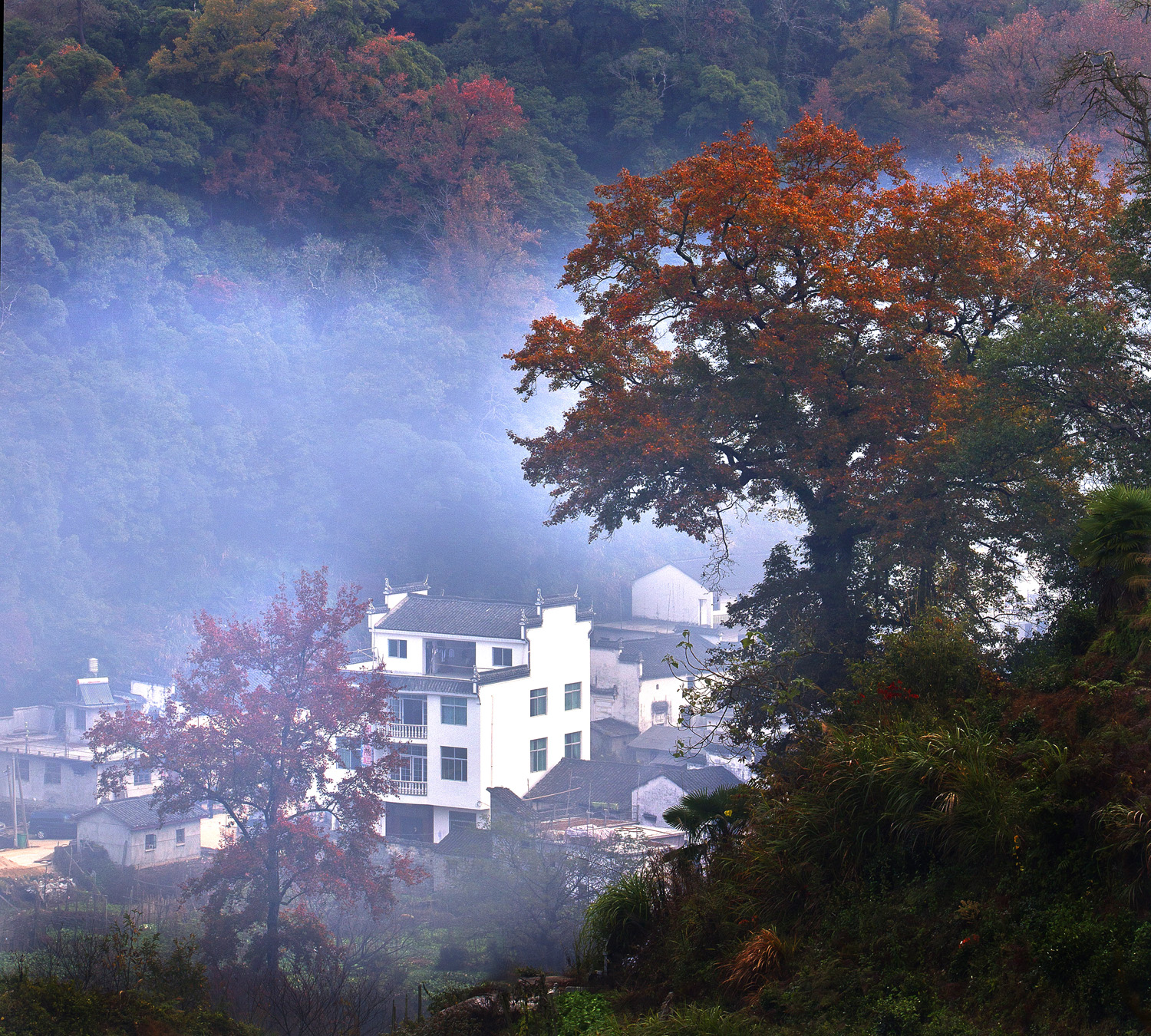 魅力乡村