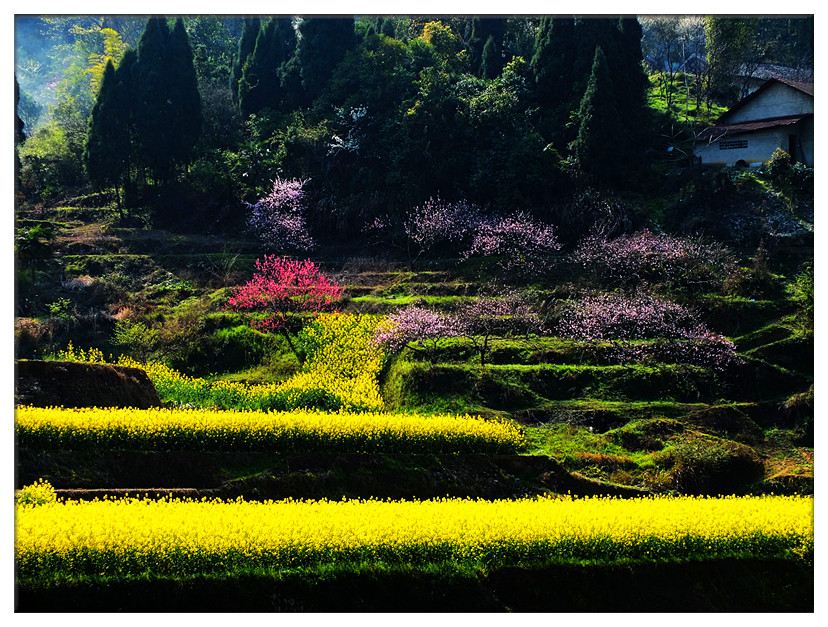 春暖花开