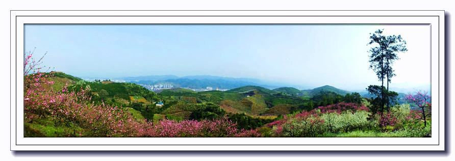 桃梨芬芳山峦间