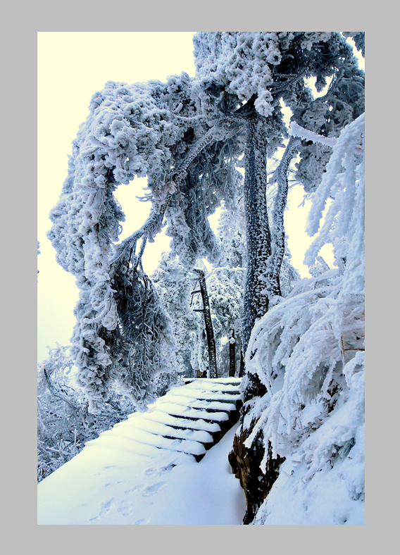 林海雪源