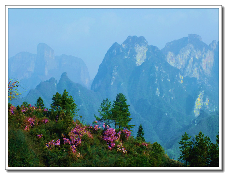 点缀青山
