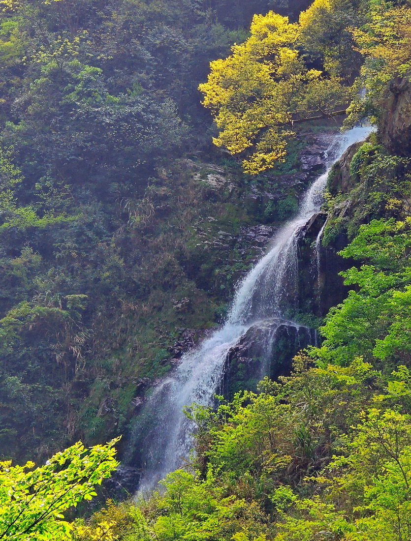 张沅公路边小瀑