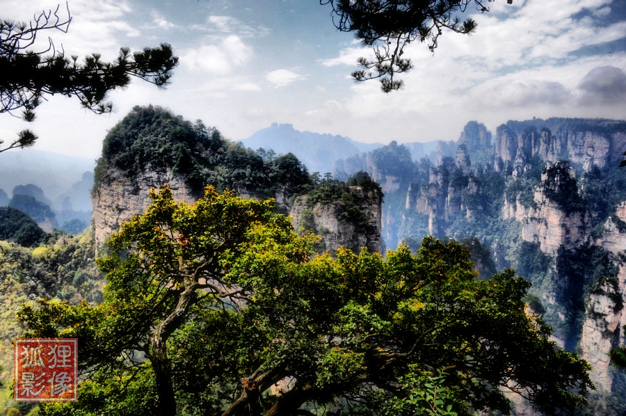鹞子寨组照《峰林竞秀》