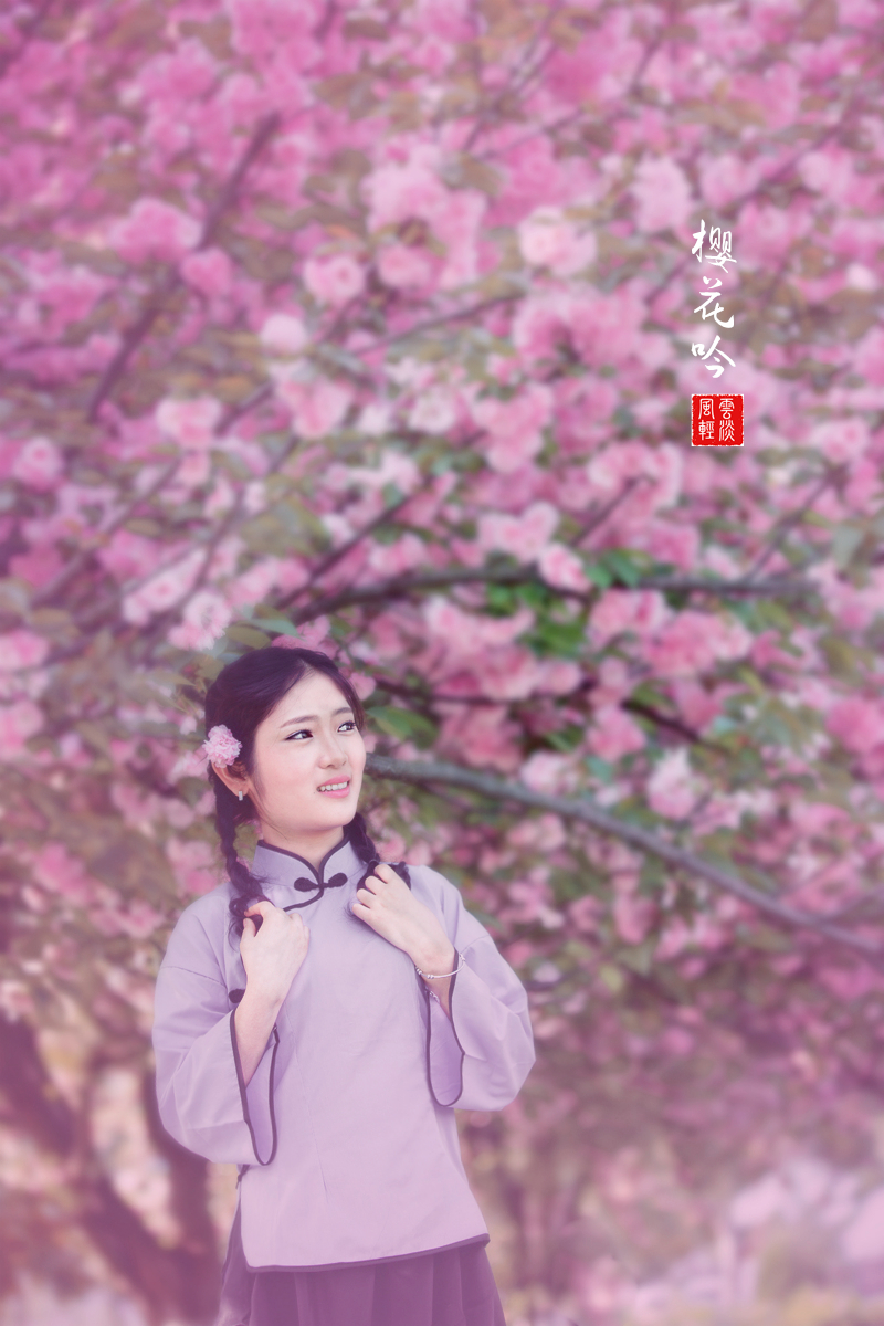 樱花吟