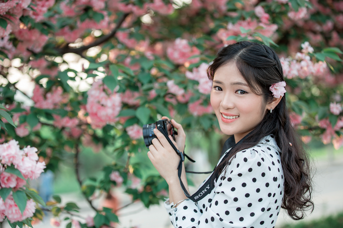樱花之恋