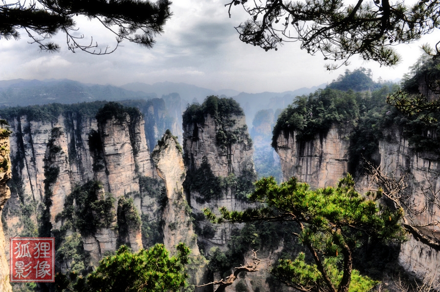 鹞子寨组照《峰林竞秀》