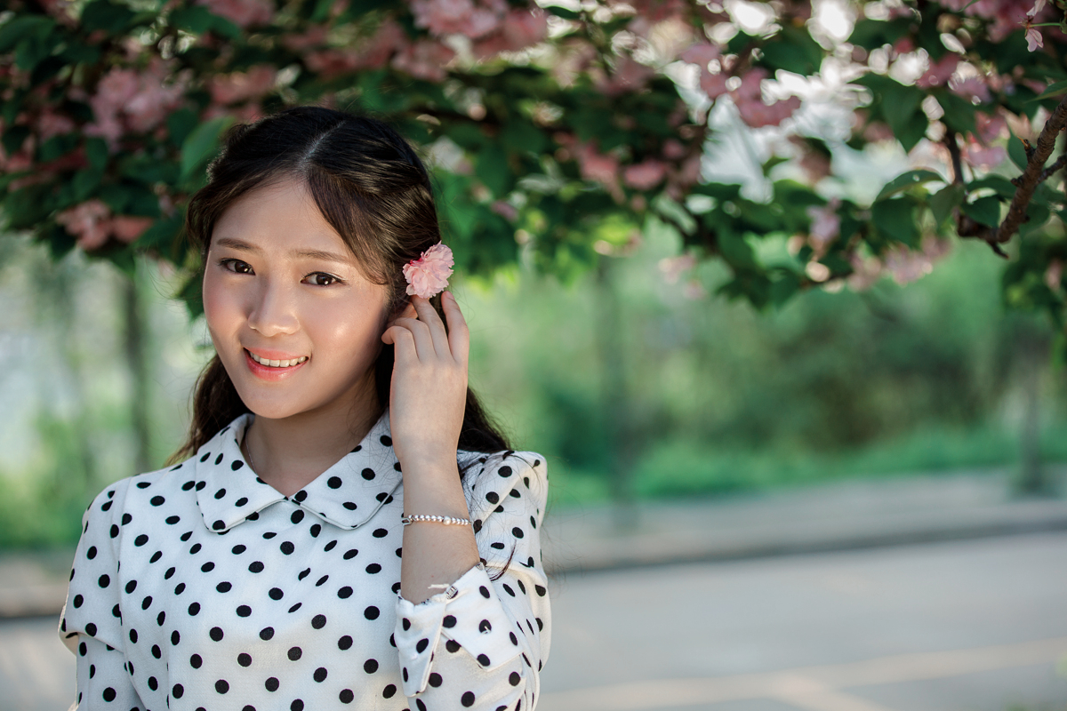樱花之恋