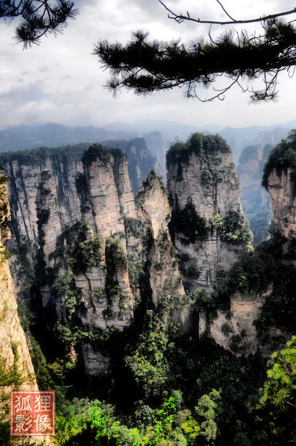 鹞子寨组照《峰林竞秀》