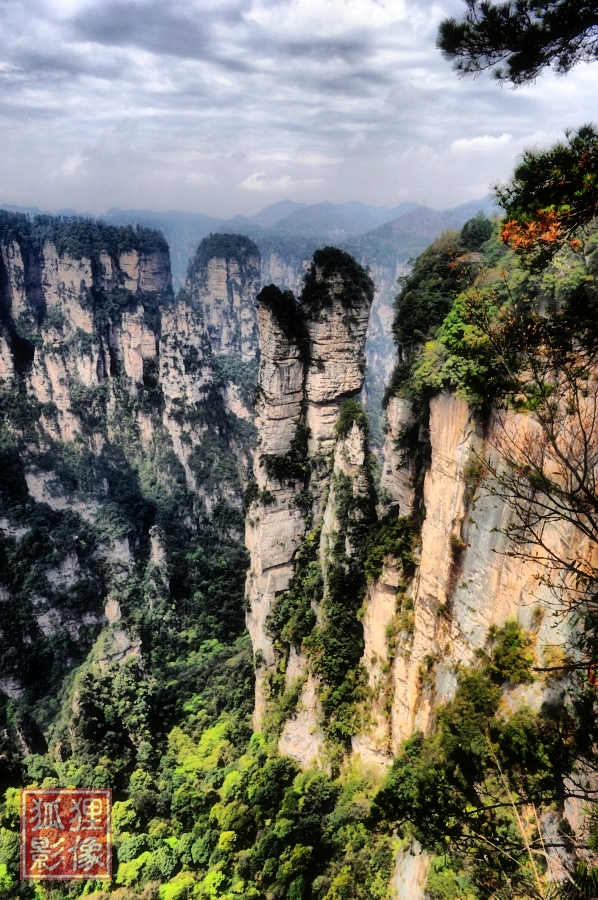 鹞子寨组照《峰林竞秀》