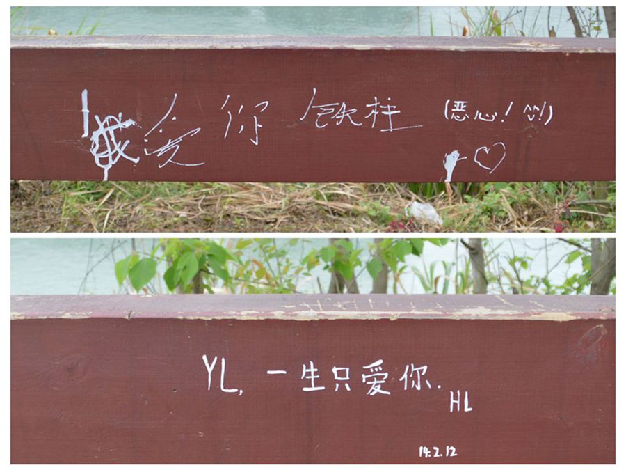恶心的表白