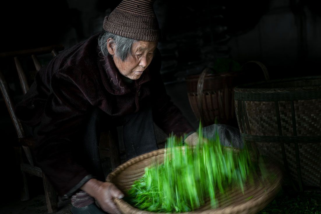 选新茶