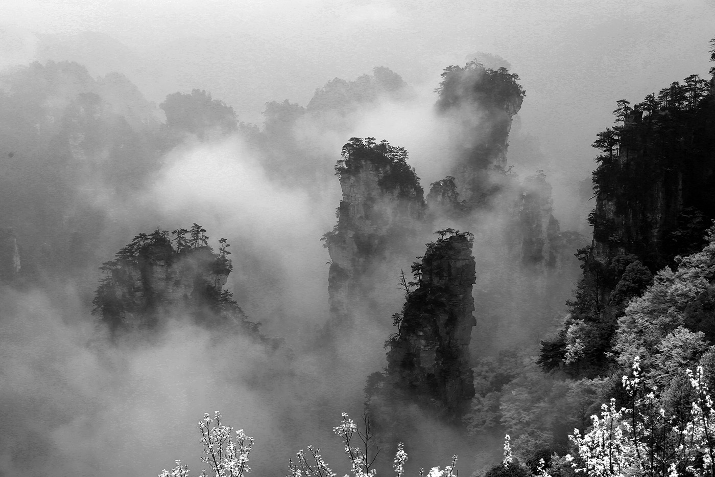 云雾天子山